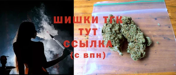 СК Бородино