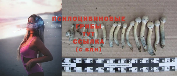 крисы Бронницы