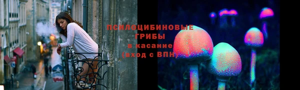 СК Бородино