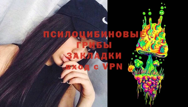 крисы Бронницы