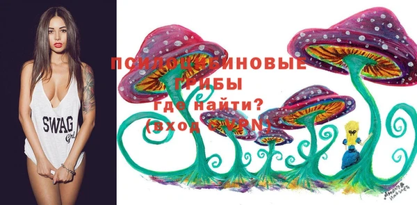 a pvp Бугульма