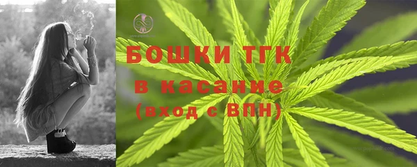 СК Бородино