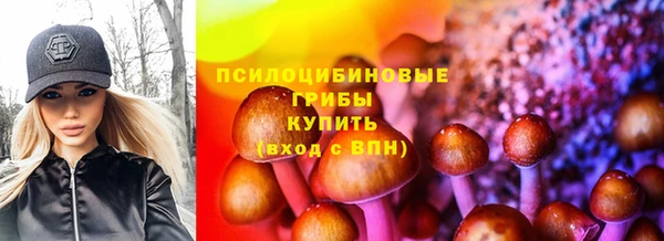 СК Бородино
